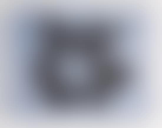 The poet"s eye (preview)
