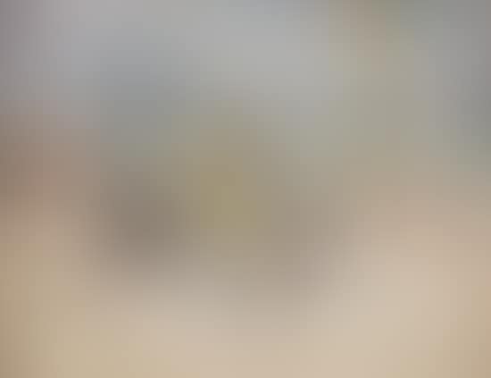 Beach scene (preview)