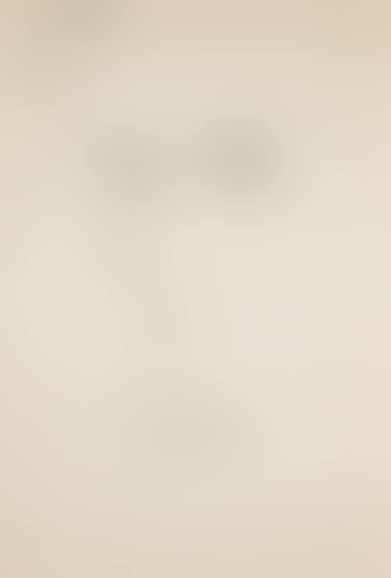 Portrait of an unidentified man (preview)
