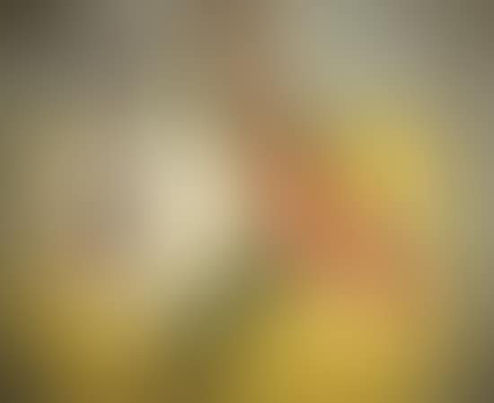 Still life with two fish (preview)