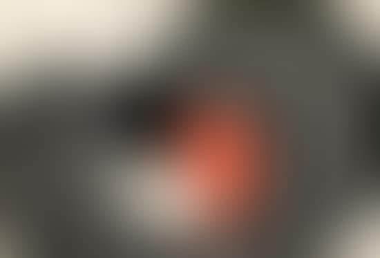 Butterfly (preview)