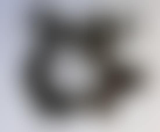 The poet"s eye (preview)