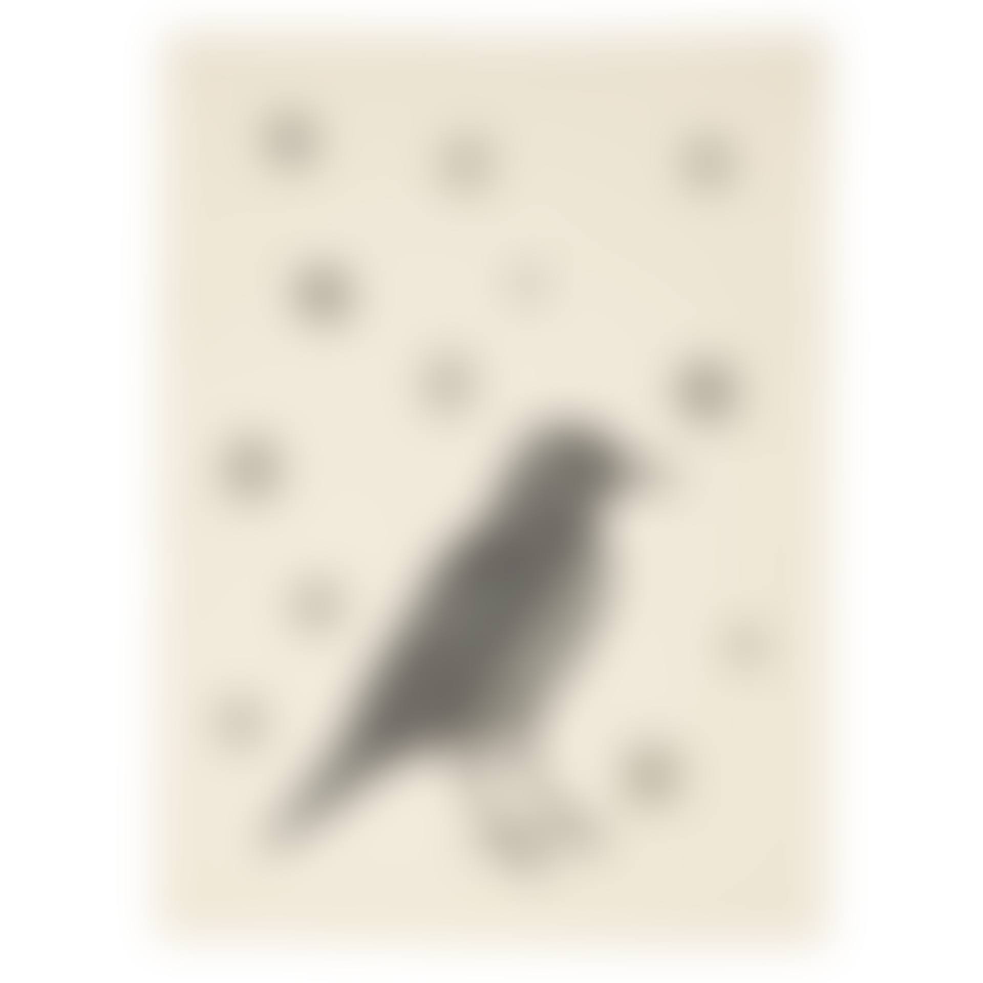 Bird with Stars (preview)