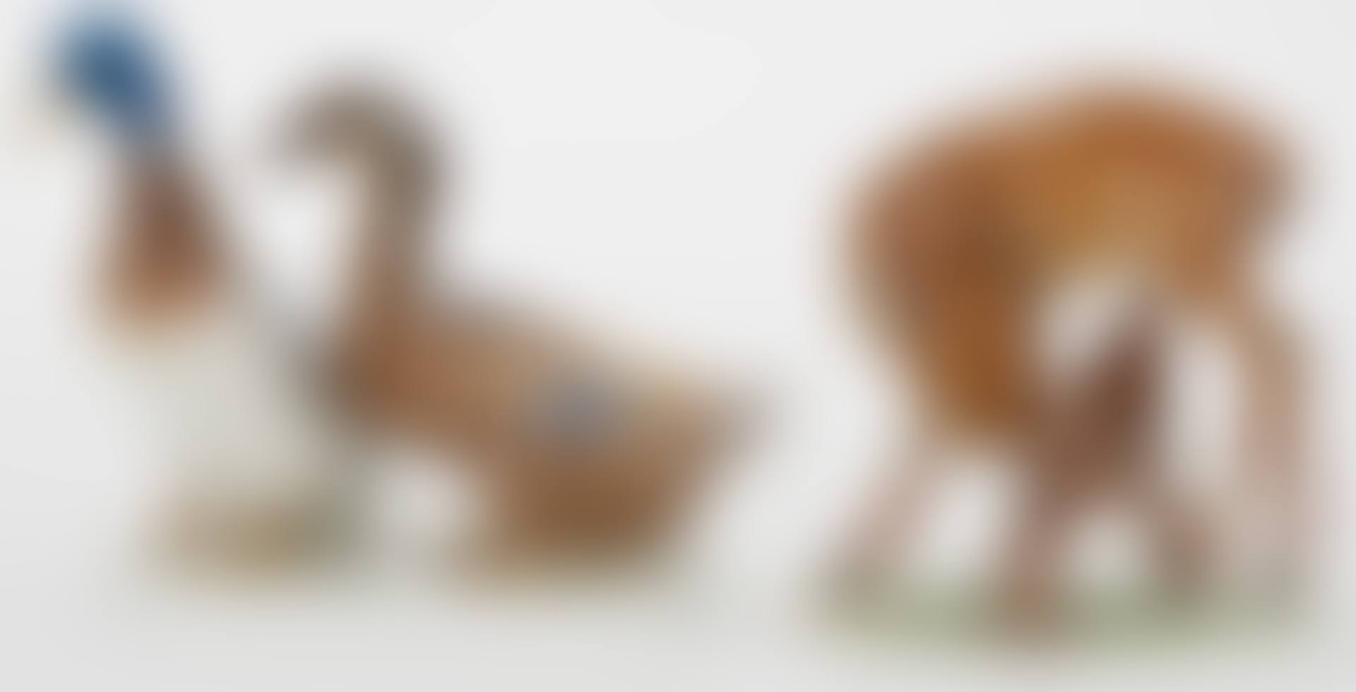 Representing deer and mallards (preview)