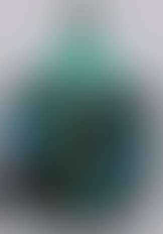 Vase (preview)