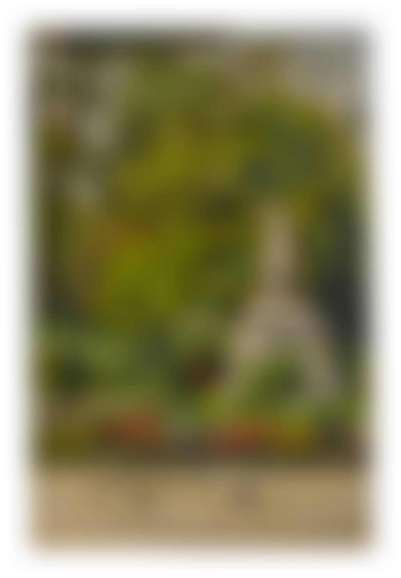 AU JARDIN DU LUXEMBOURG AND LES QUAIS DE SEINE À PARIS - ÉTUDE : A DOUBLE-SIDED WORK (preview)