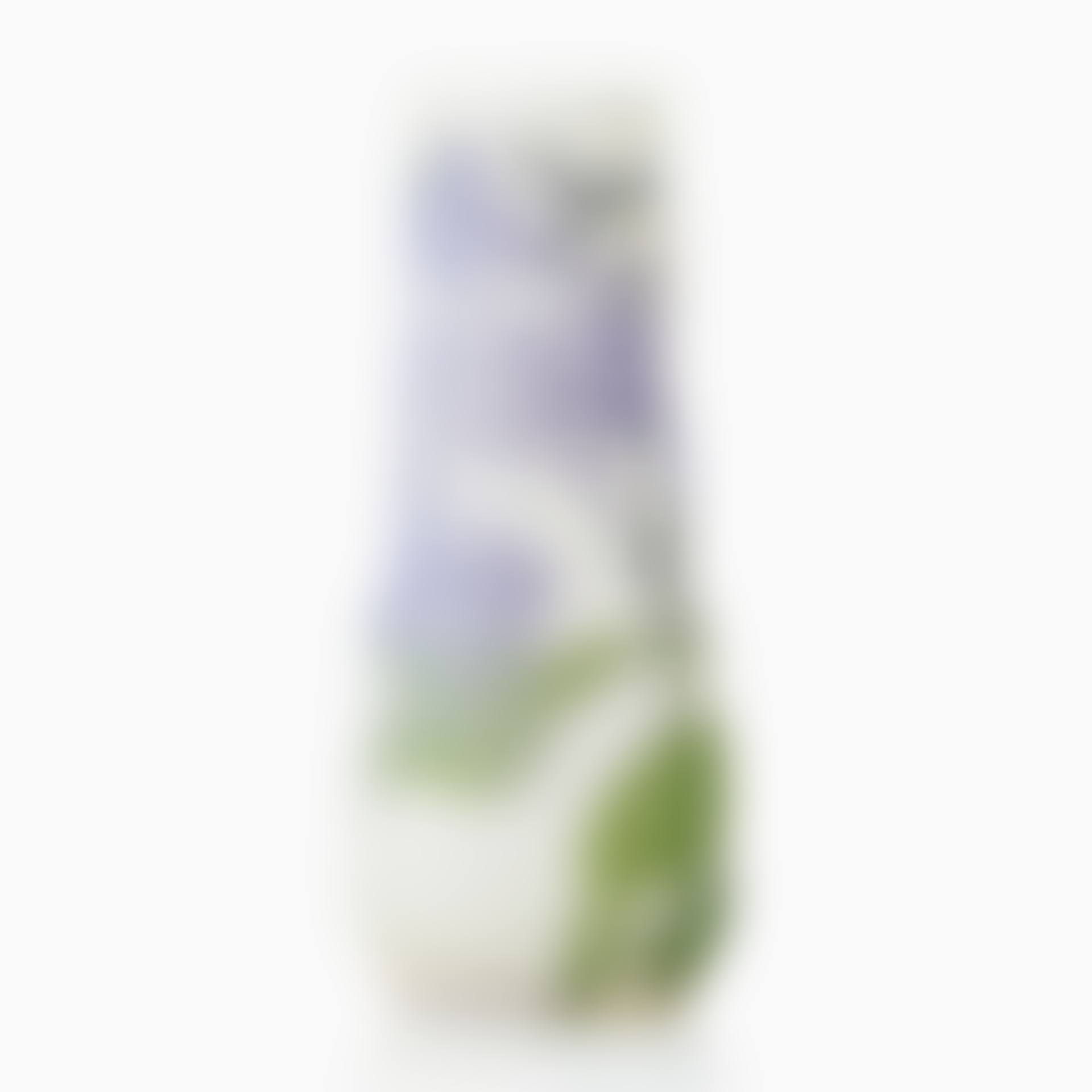 An Émile Gallé Art Nouveau cameo glass vase (preview)