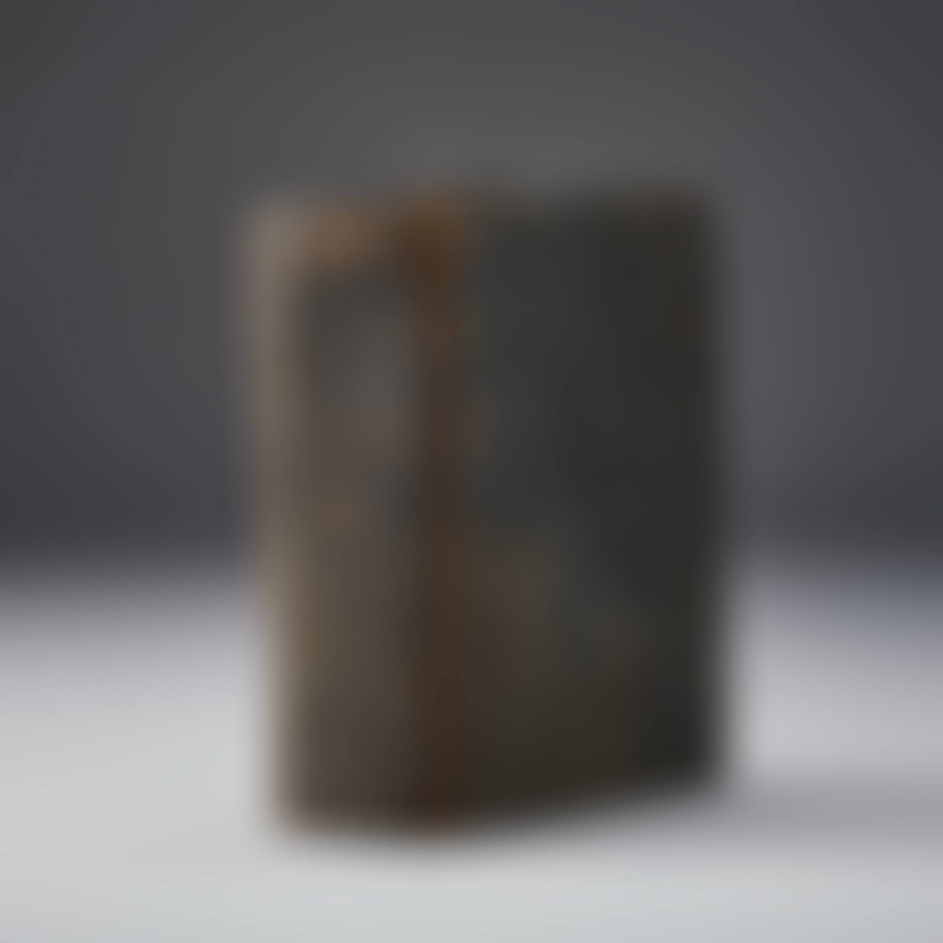 Rådsbibeln (preview)