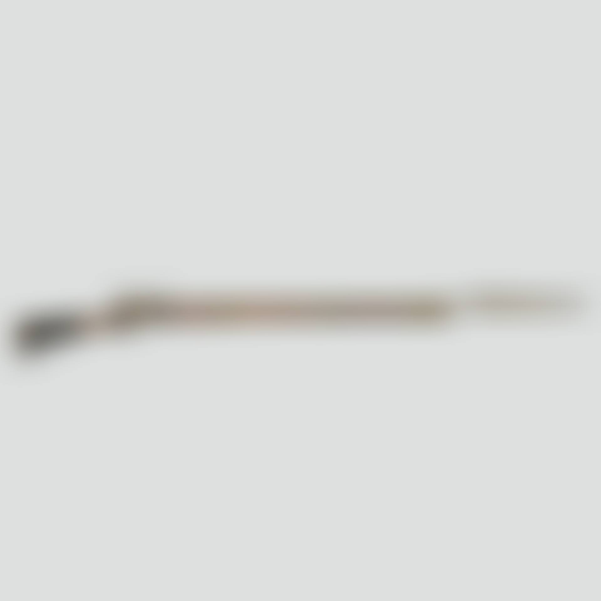 Flintlock rifle with bayonet M/1815 for the Infantry (preview)