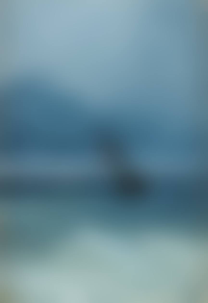 Ship on high seas (preview)