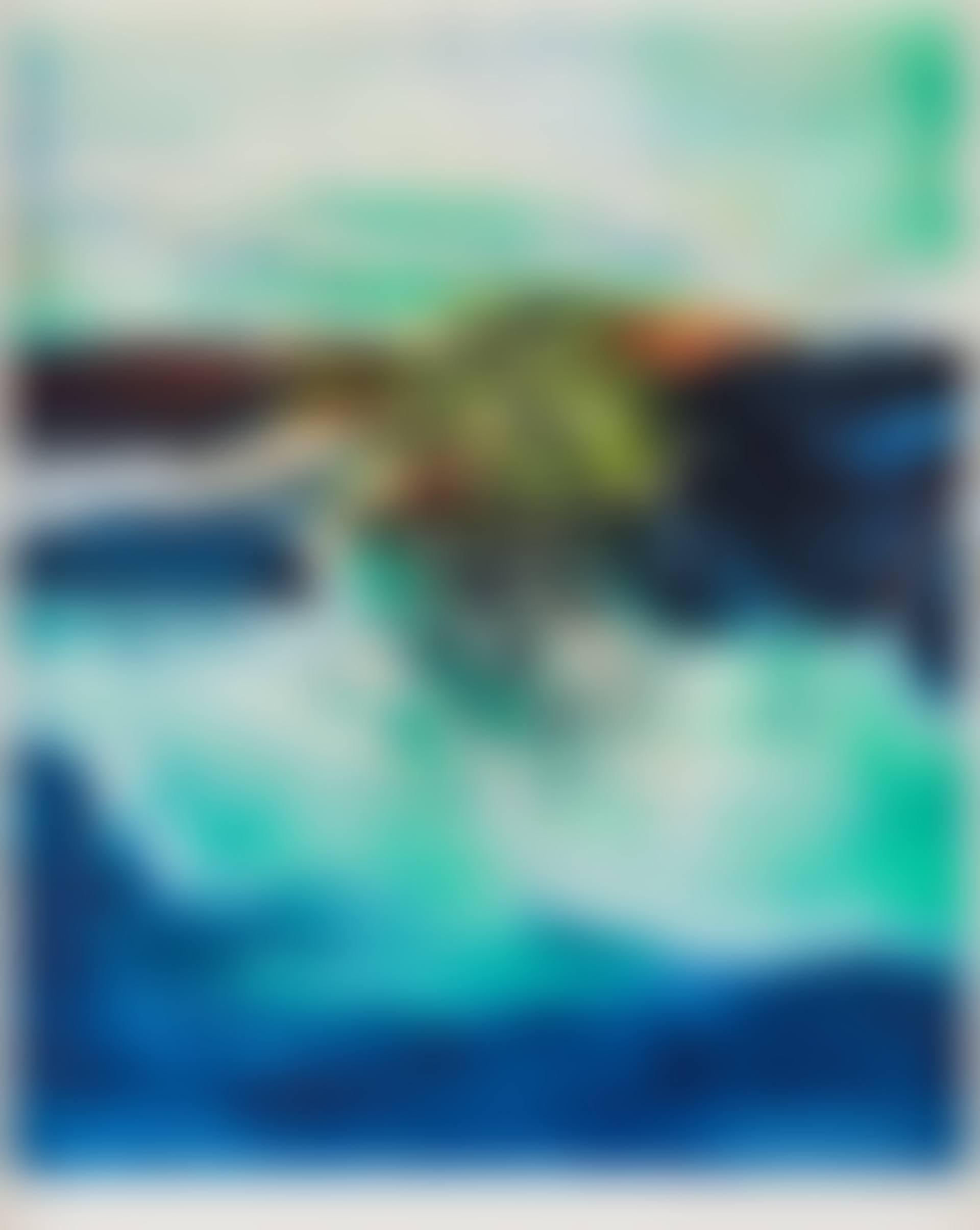 Untitled, from 33 Maîtres contemporains (preview)