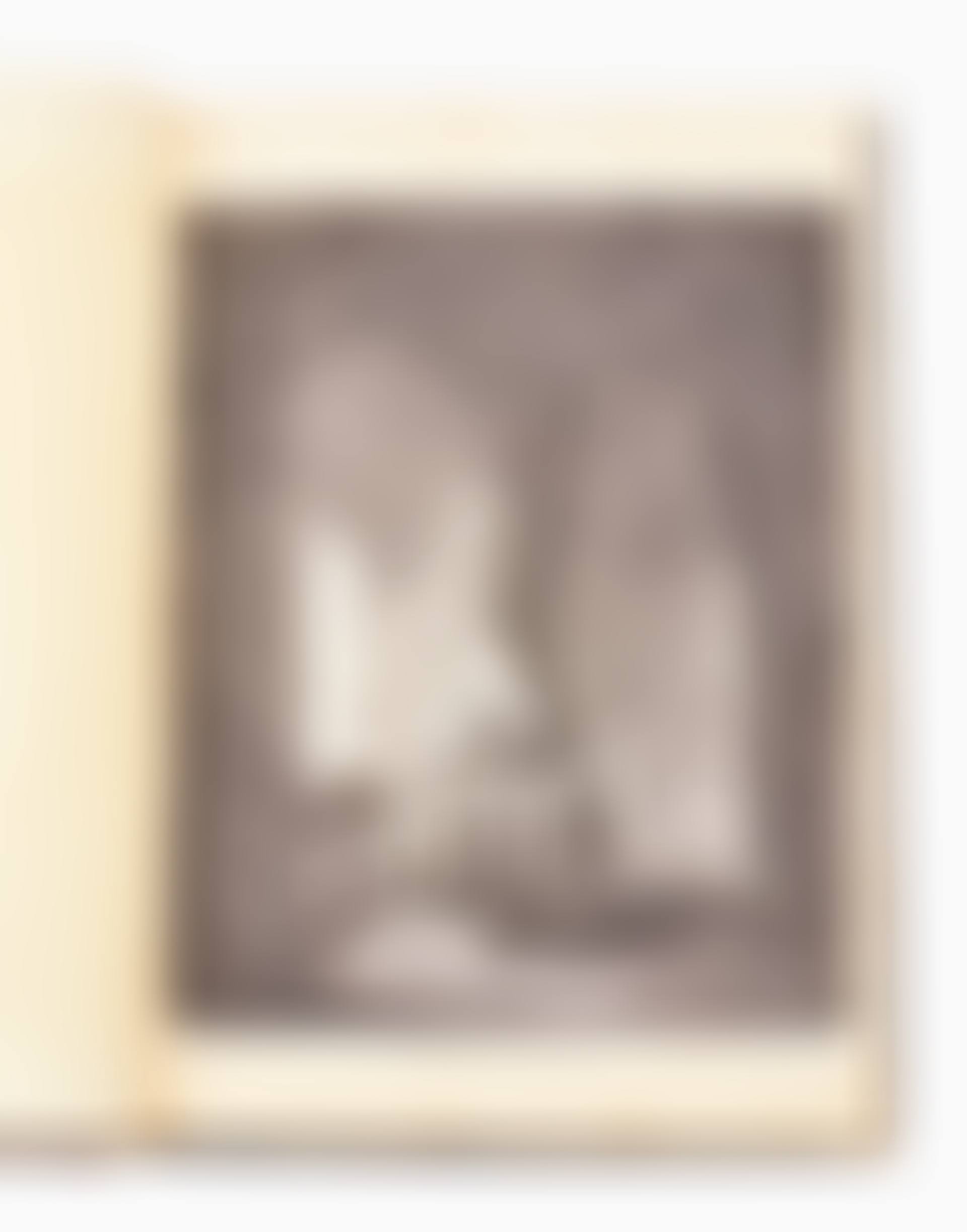 ”A Collection of Two Hundred Original Etchings” (preview)