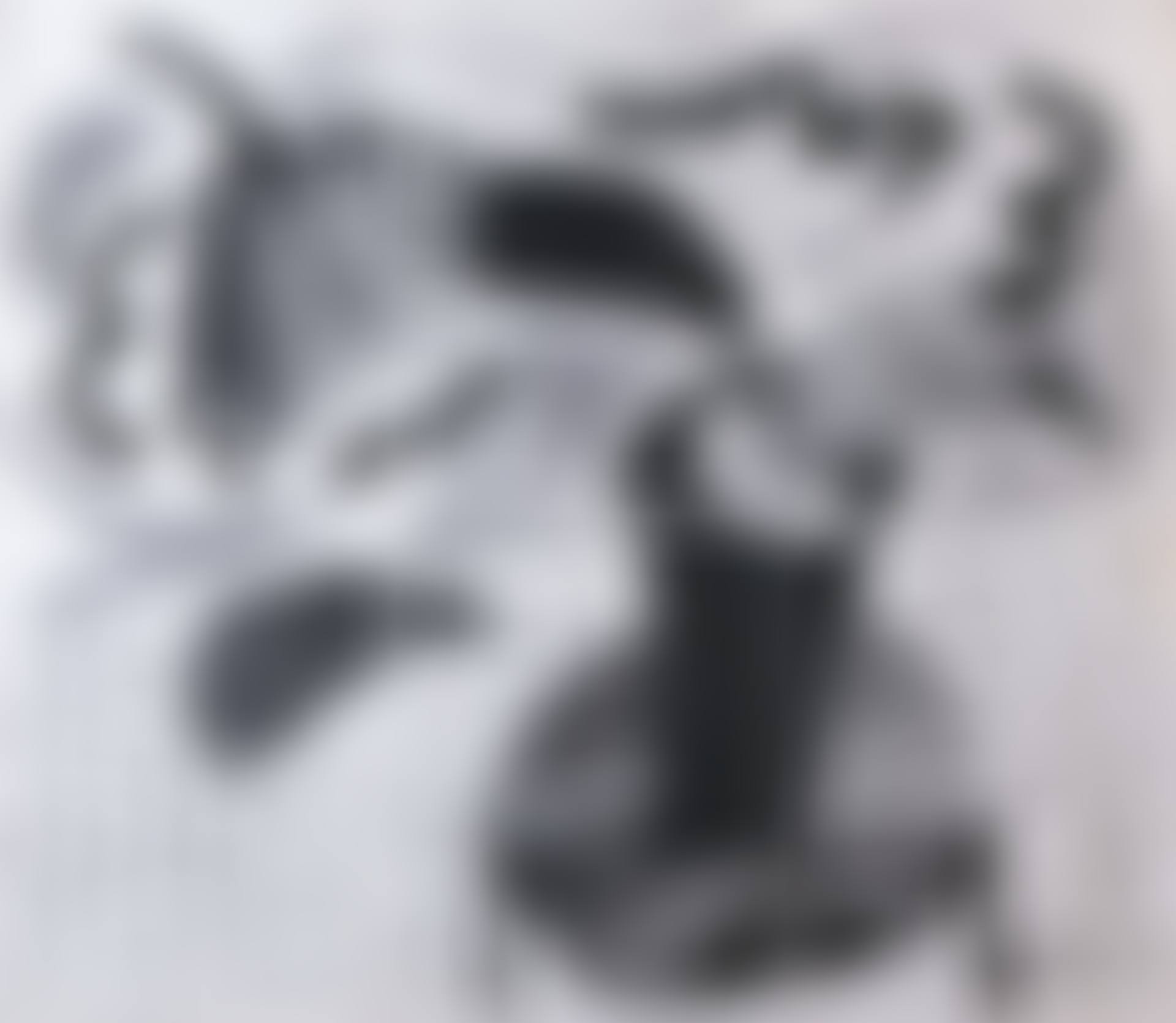 Black Plant on Table (preview)