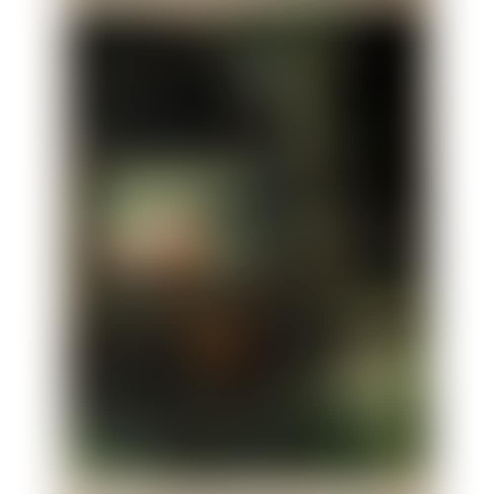 Untitled (preview)