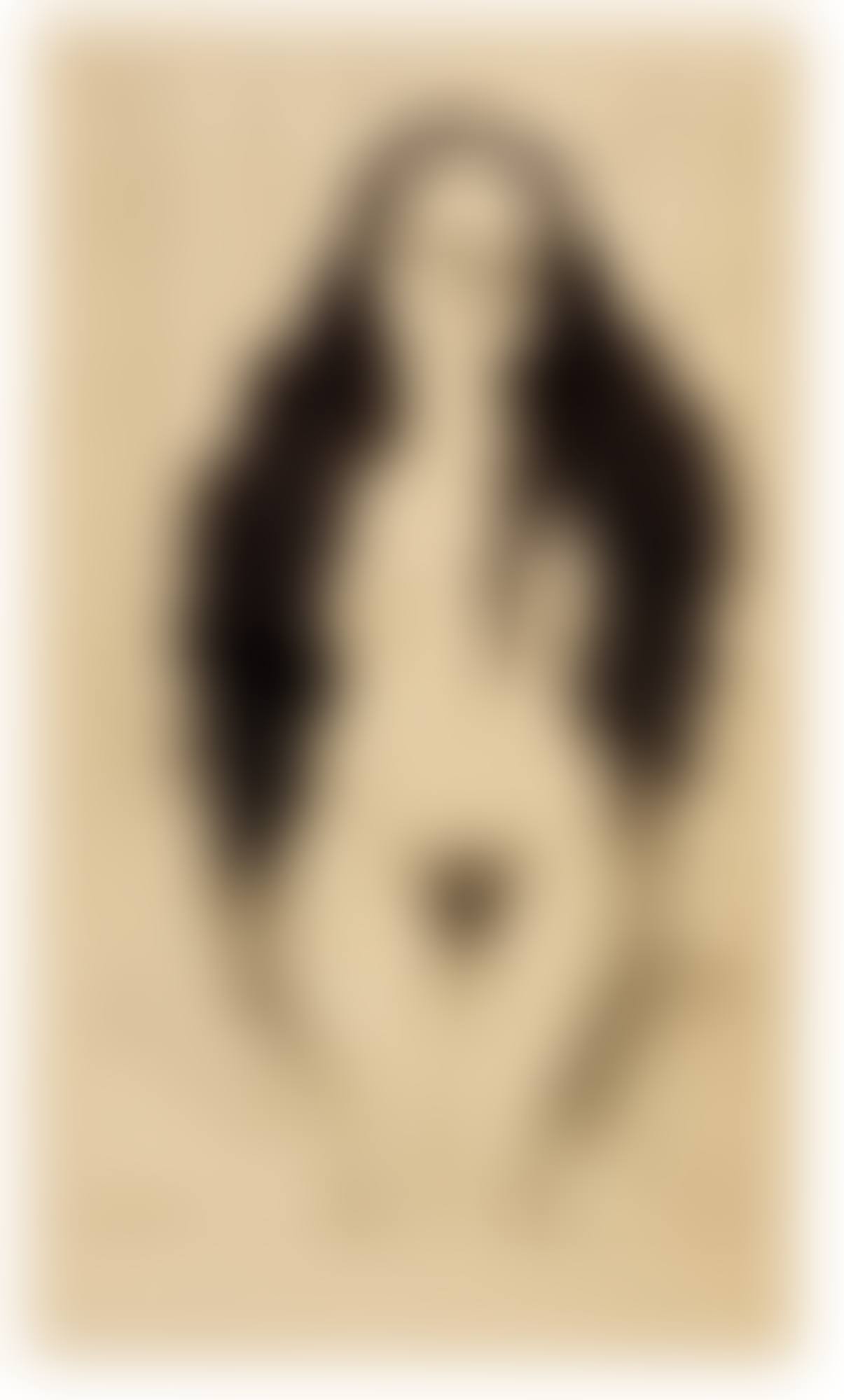 NUDE WITH LONG HAIR (DOLORES OLMEDO) (preview)