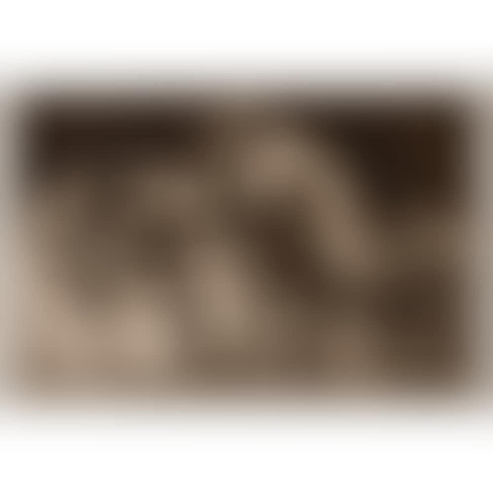 Los Disparates Suite (six prints) (preview)