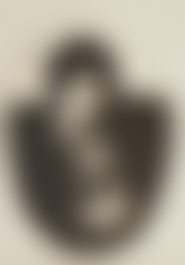 Portrait of Blair Sabol (preview)