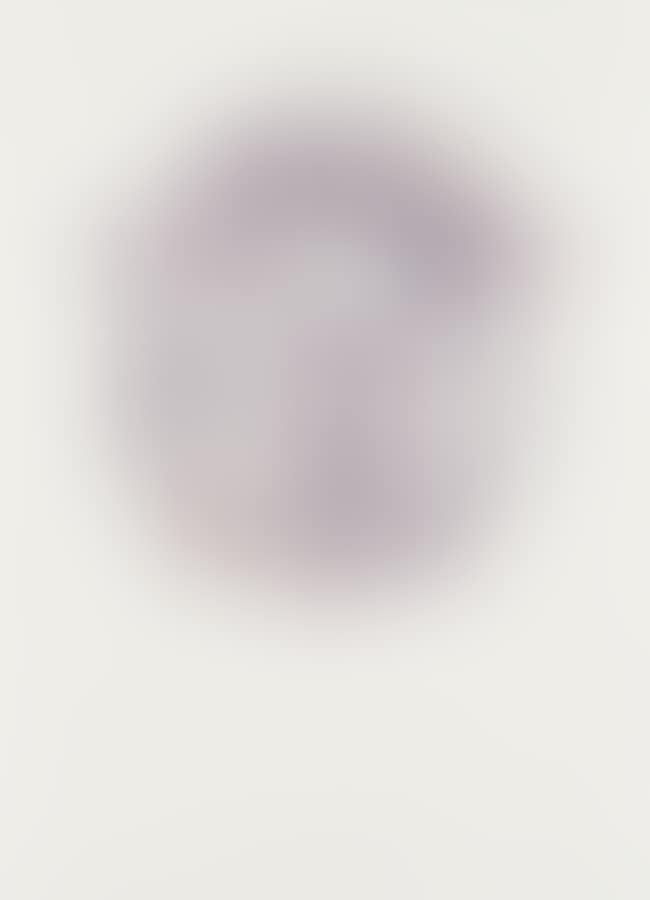 Cross Section of a Head (preview)