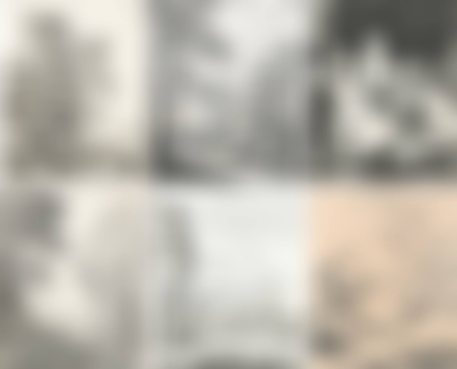 An album of old master and 19th-century prints (preview)