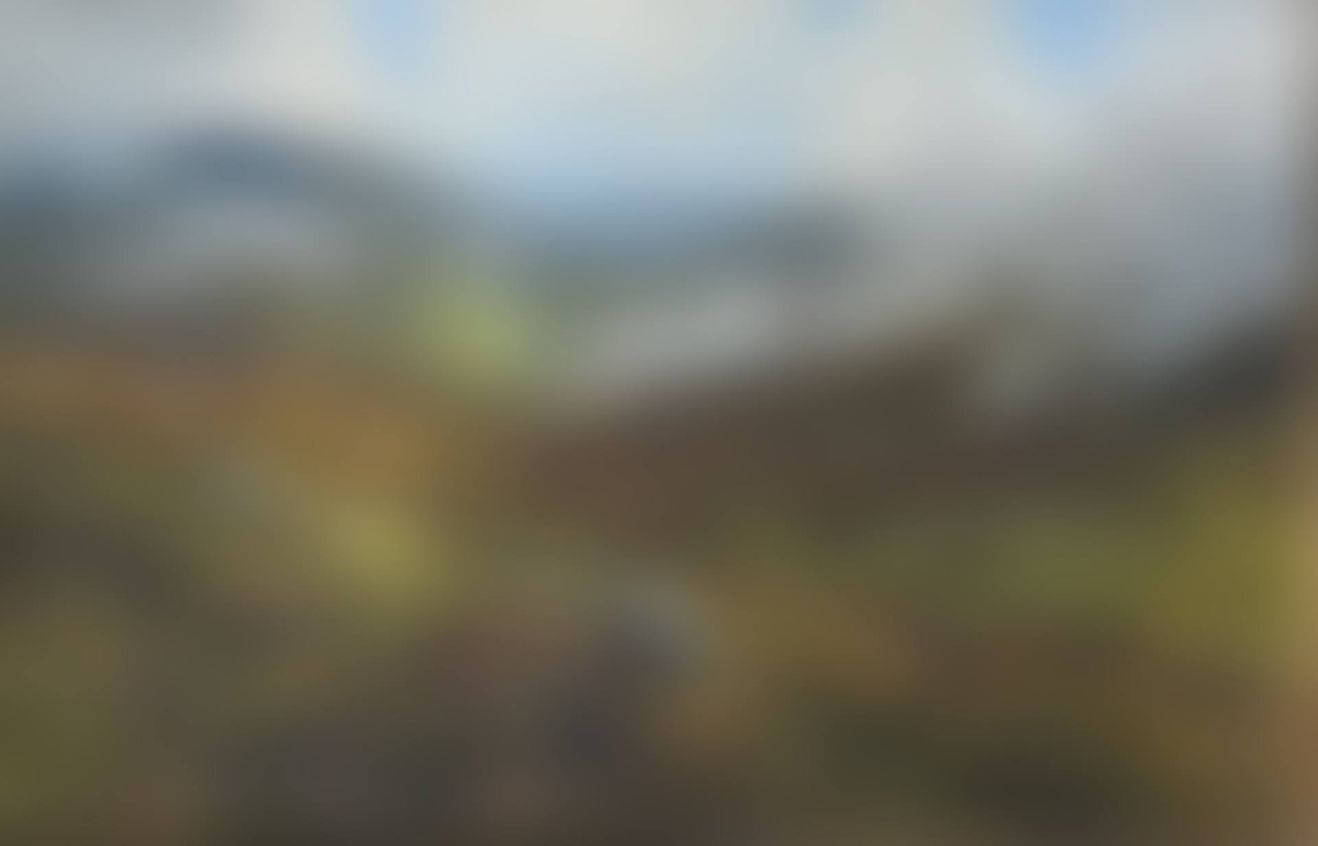 Grouse Moor, Perthshire (preview)