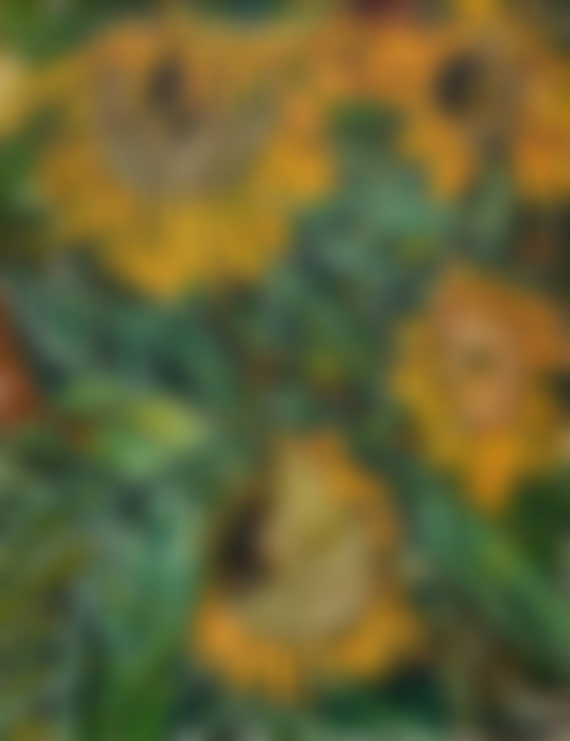 Sunflowers (preview)