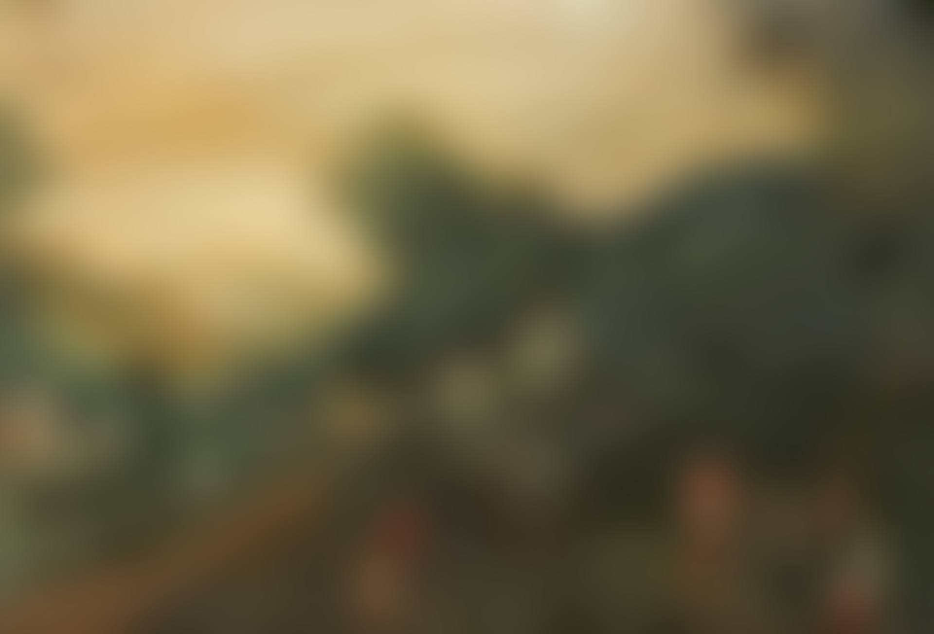 Peasants in an extensive hilly landscape (preview)