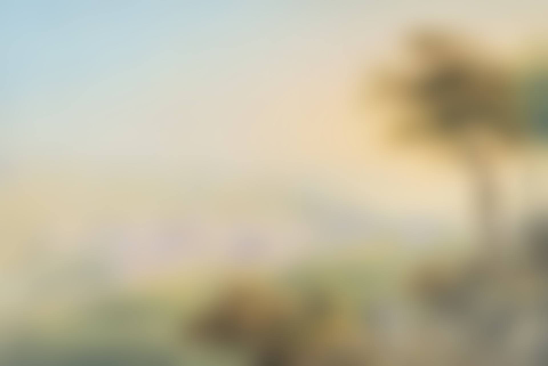 A view of Bienne (preview)