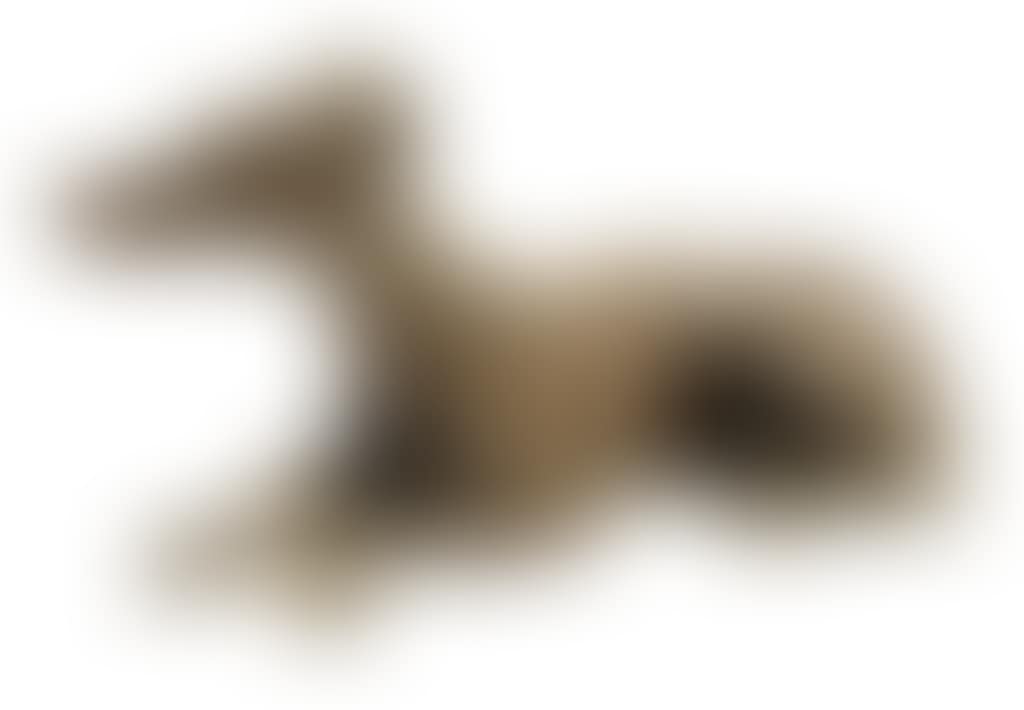 Greyhound (preview)