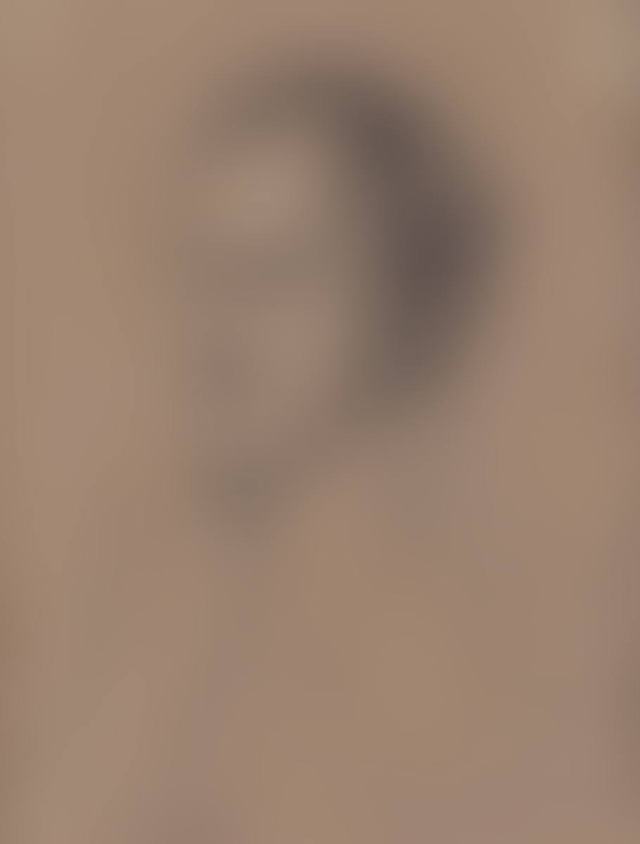 Portrait of Joseph Bonaparte (preview)