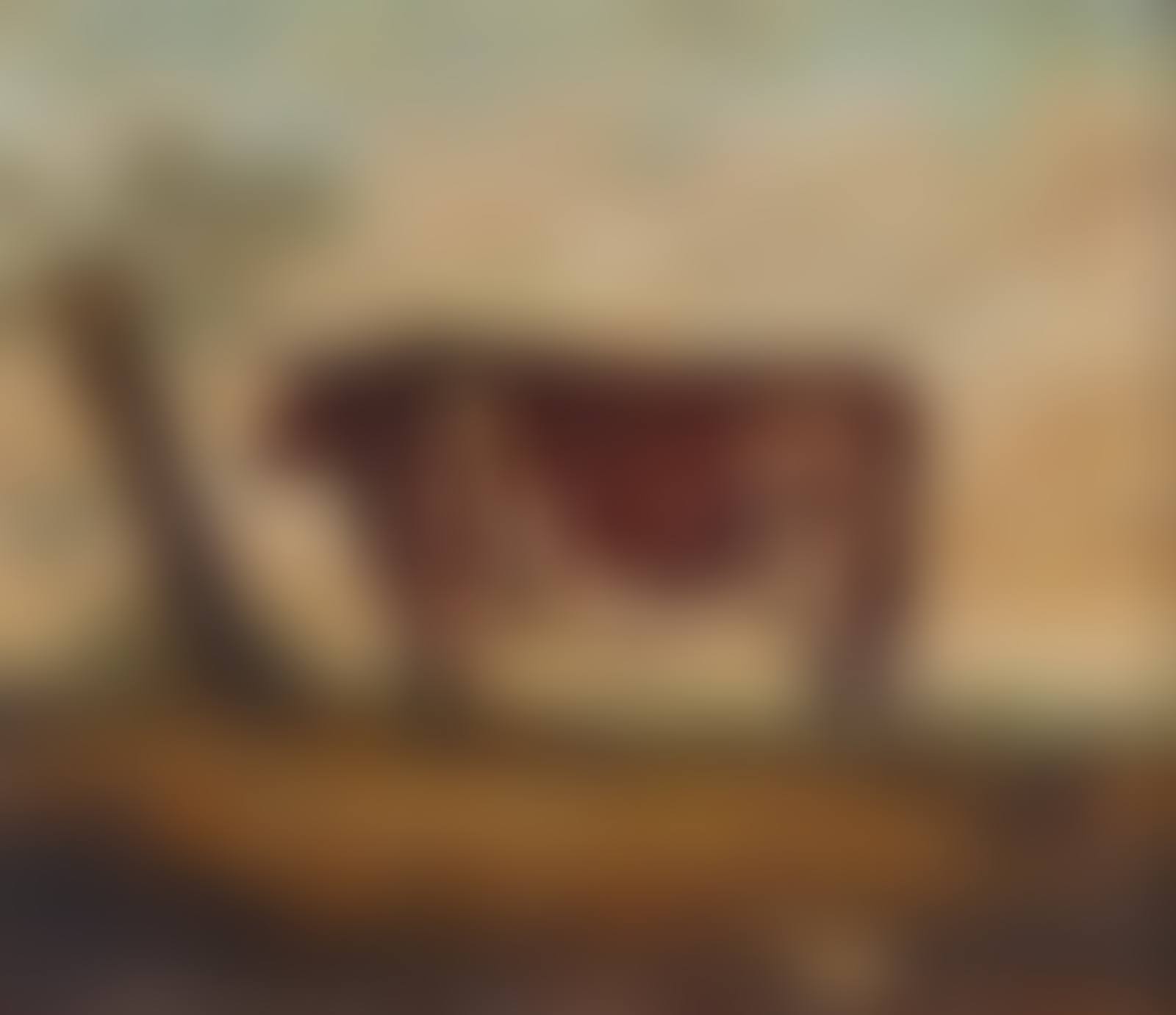 Six paintings depicting prize bulls, a Gloucester Old Spot, a fox and a sheep in a meadow (preview)