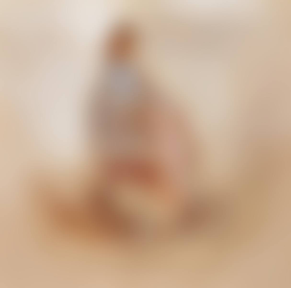 A Grey Partridge in a landscape (preview)