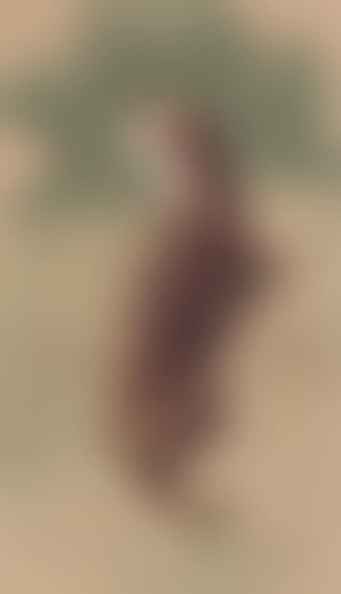 Study of a weasel (preview)