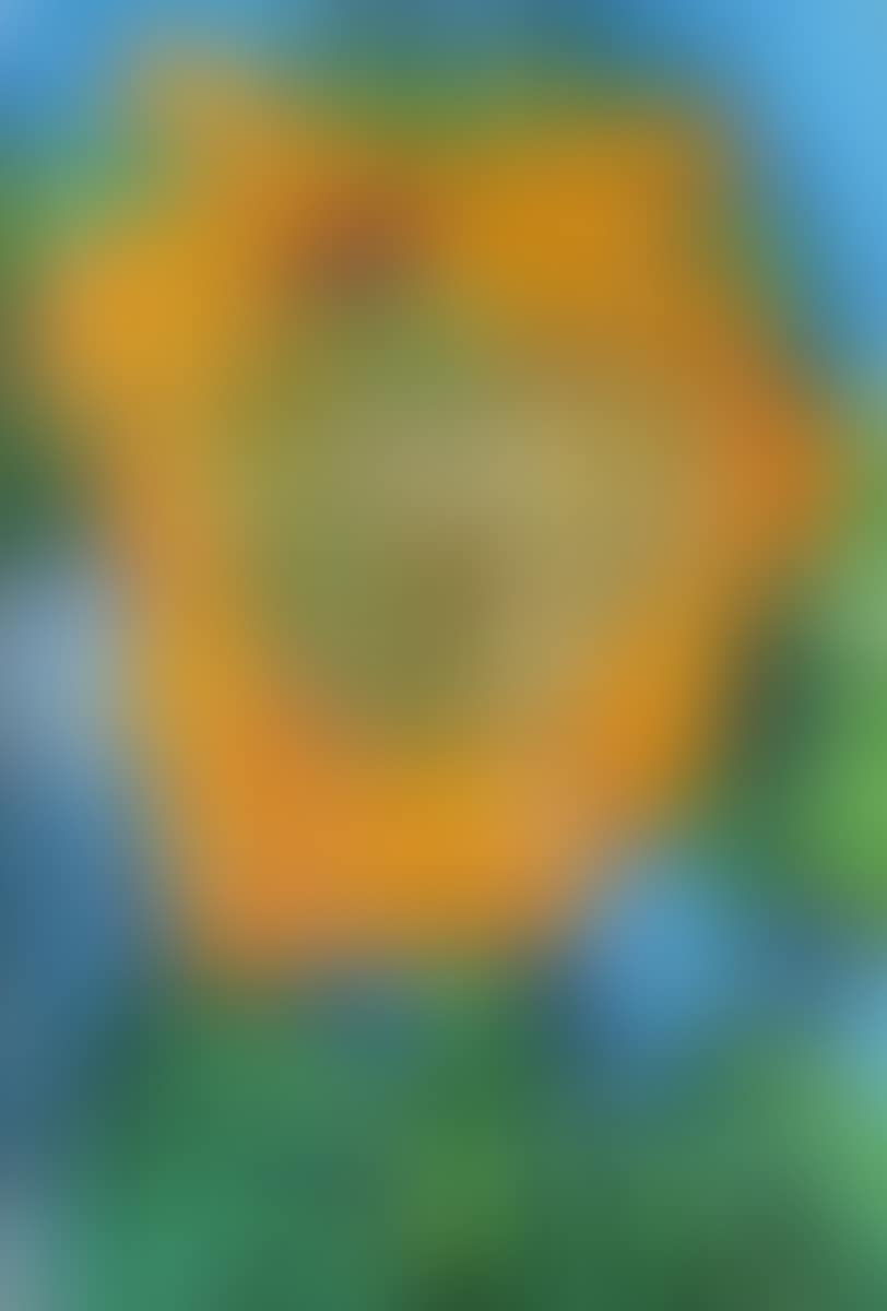 Sunflower (preview)