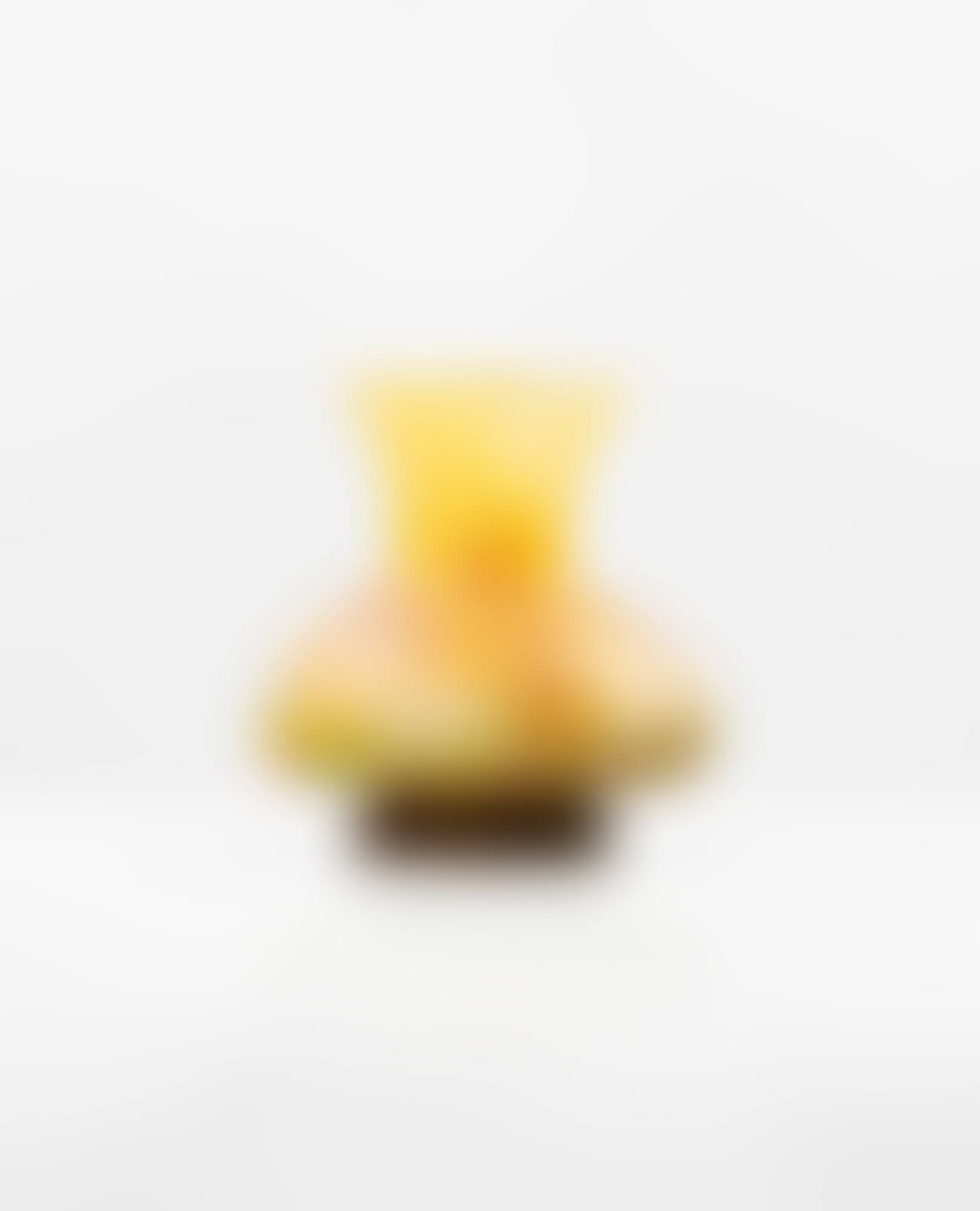 Monnaies du Pape vase (preview)
