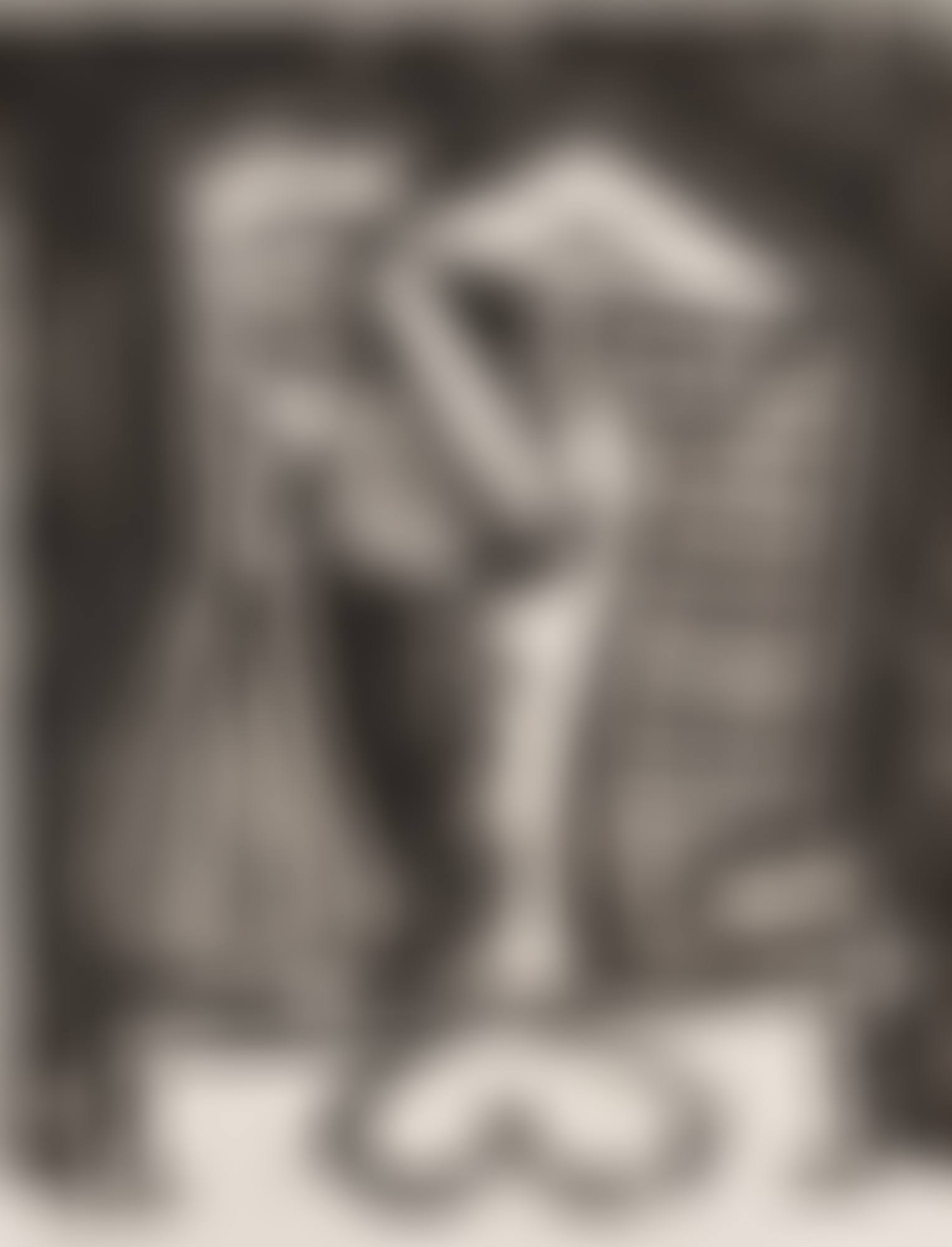 Figure composée II (Bloch 597; Mourlot 166) (preview)