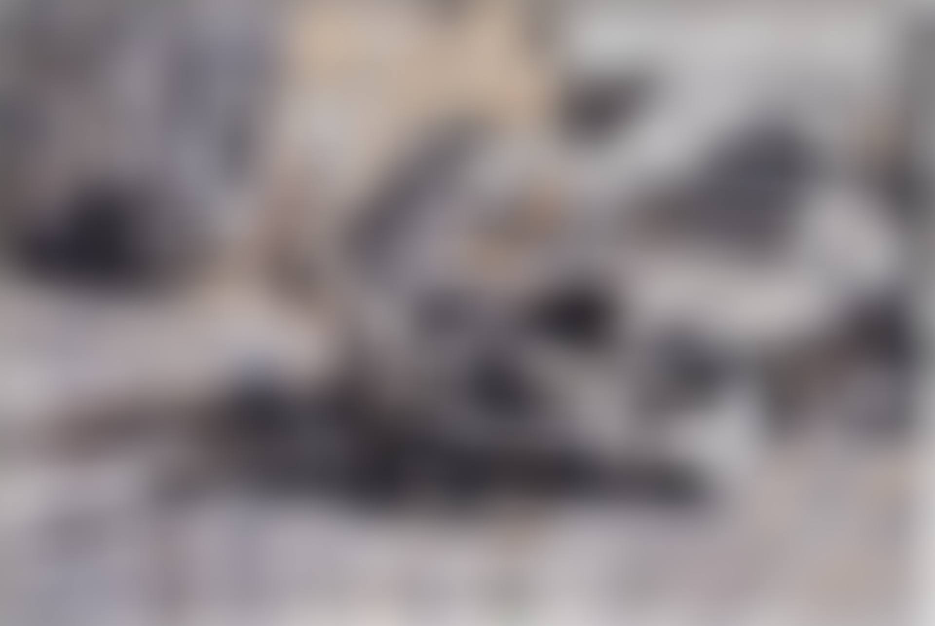 New Car, Album (preview)