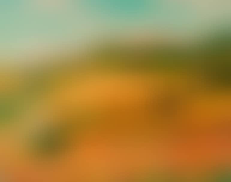 Volterra (preview)