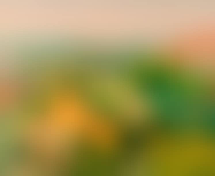 Surroundings of Volterra (preview)