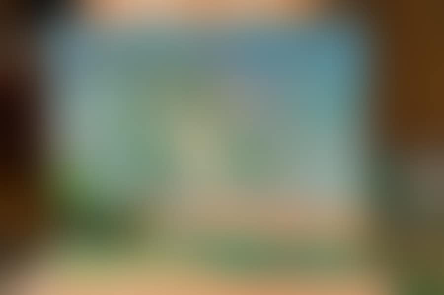 Trees in flower (preview)