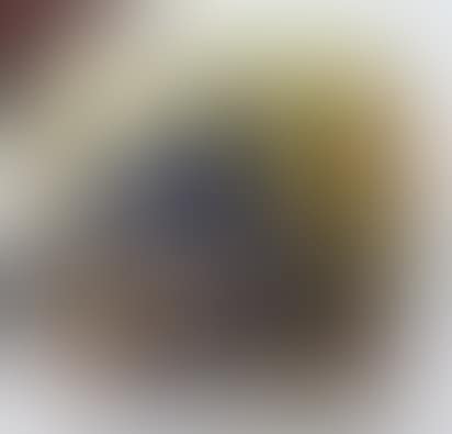 Flattened ovoid shape (preview)