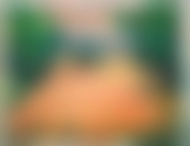 Wheat Fields (preview)