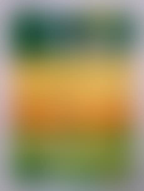 Wheat fields (preview)