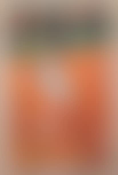 Gabriela Sabatini at Roland Garros May 75 (preview)