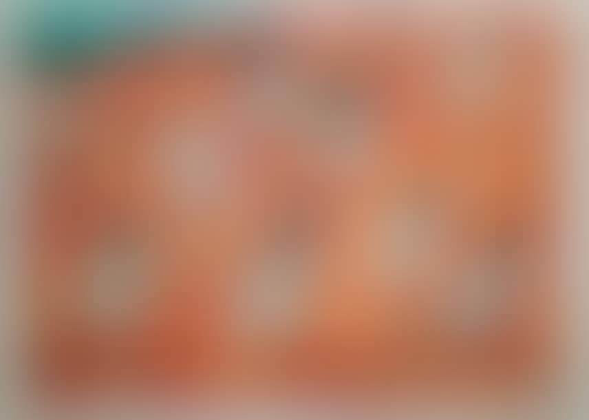 Gabriela Sabatini at Roland Garros (preview)