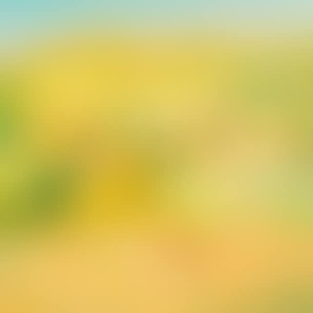 Flowering grasslands in Fermaincourt (preview)