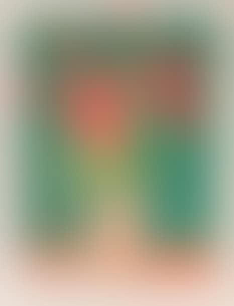Bouquet of poppies on a green background (preview)