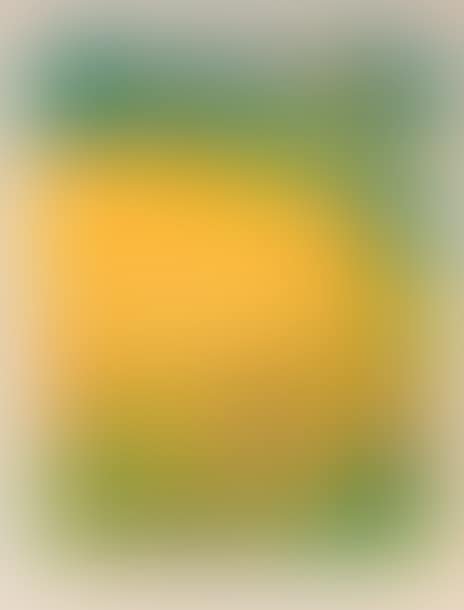 The Wheat Field (preview)