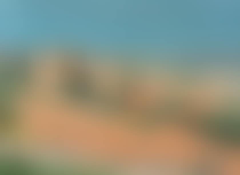 Landscape (preview)