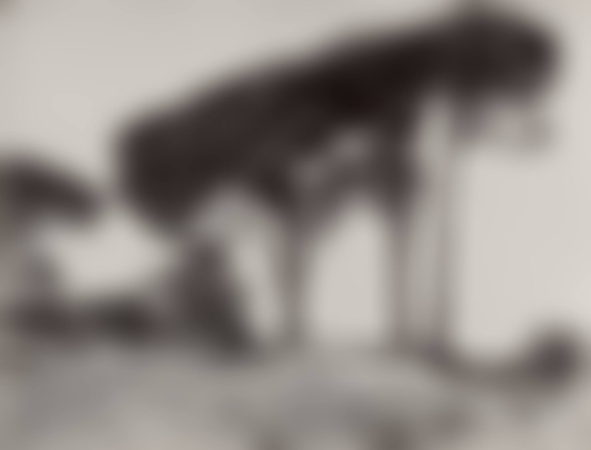 Landscape with Pine Trees (preview)