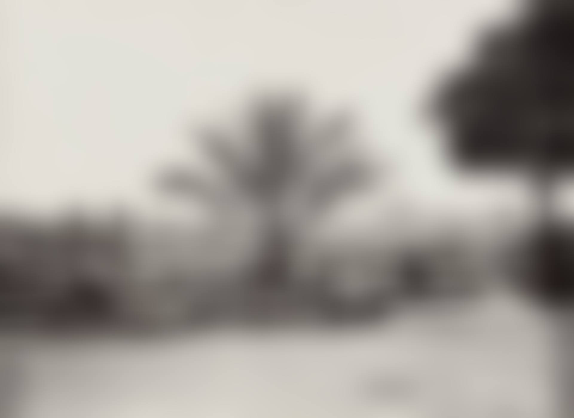 “Rome - View from Monte Pincio” (preview)